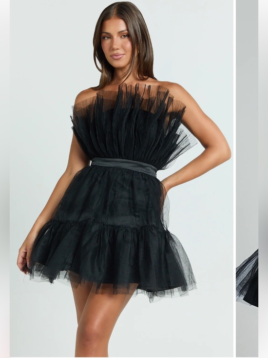 Showpo. Dresses & Skirts - Showpo Amalya Mini Dress Tiered Tulle Fit And Flare Dress In Black